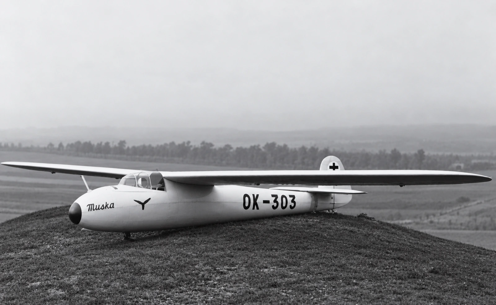 Vetroň SP-I Muška s označením OK-303 na svahu